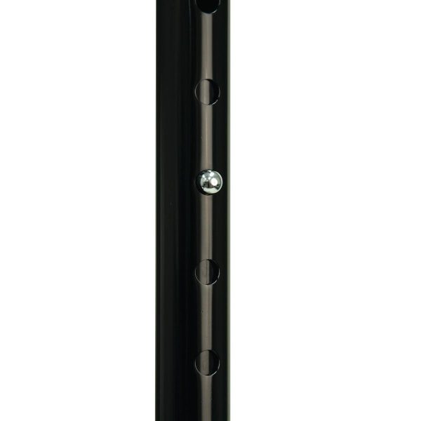 BIOS, Wondercane, 56022 - Image 6